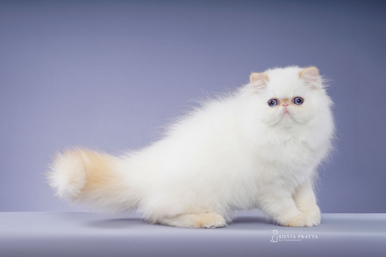 Slide 0