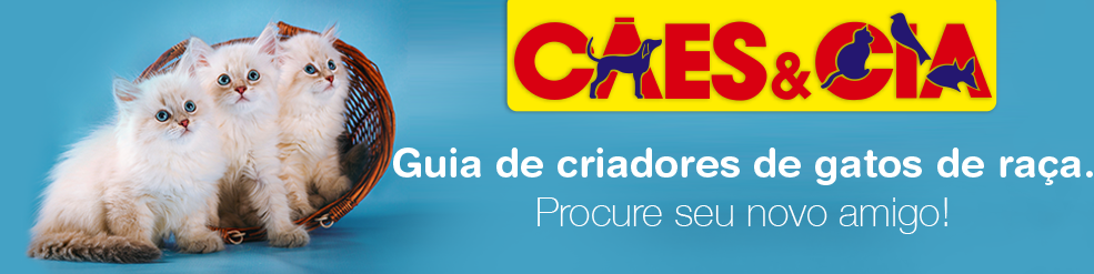 Produtos para Aquarismo