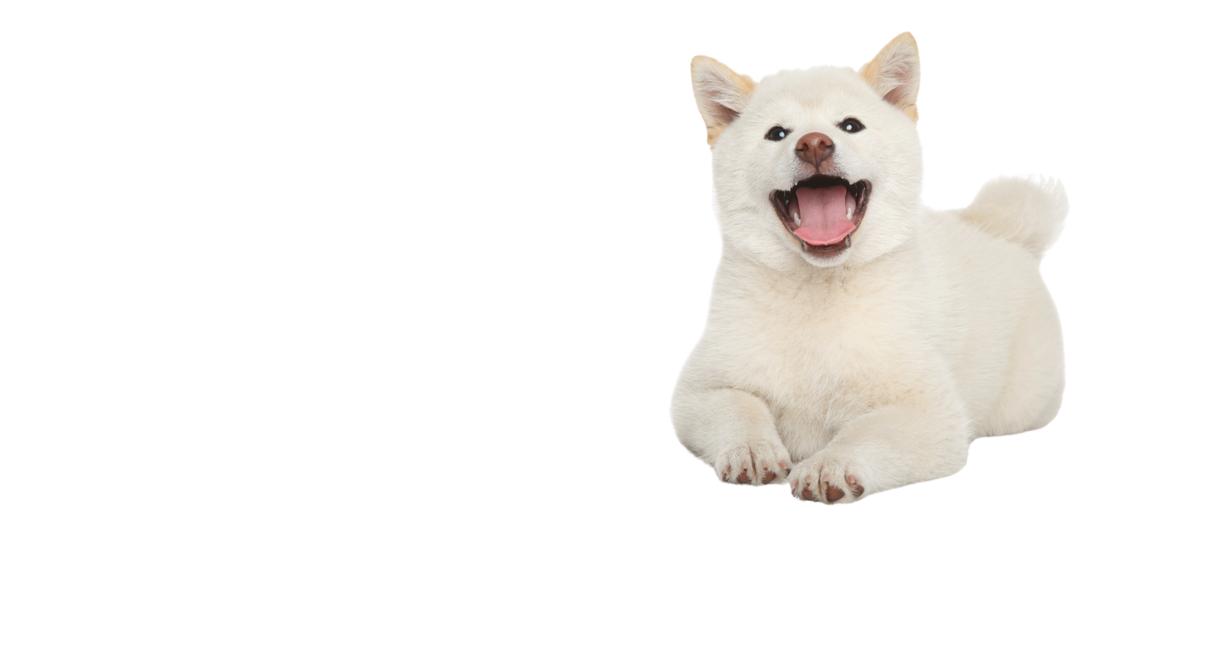 Imagem do hero