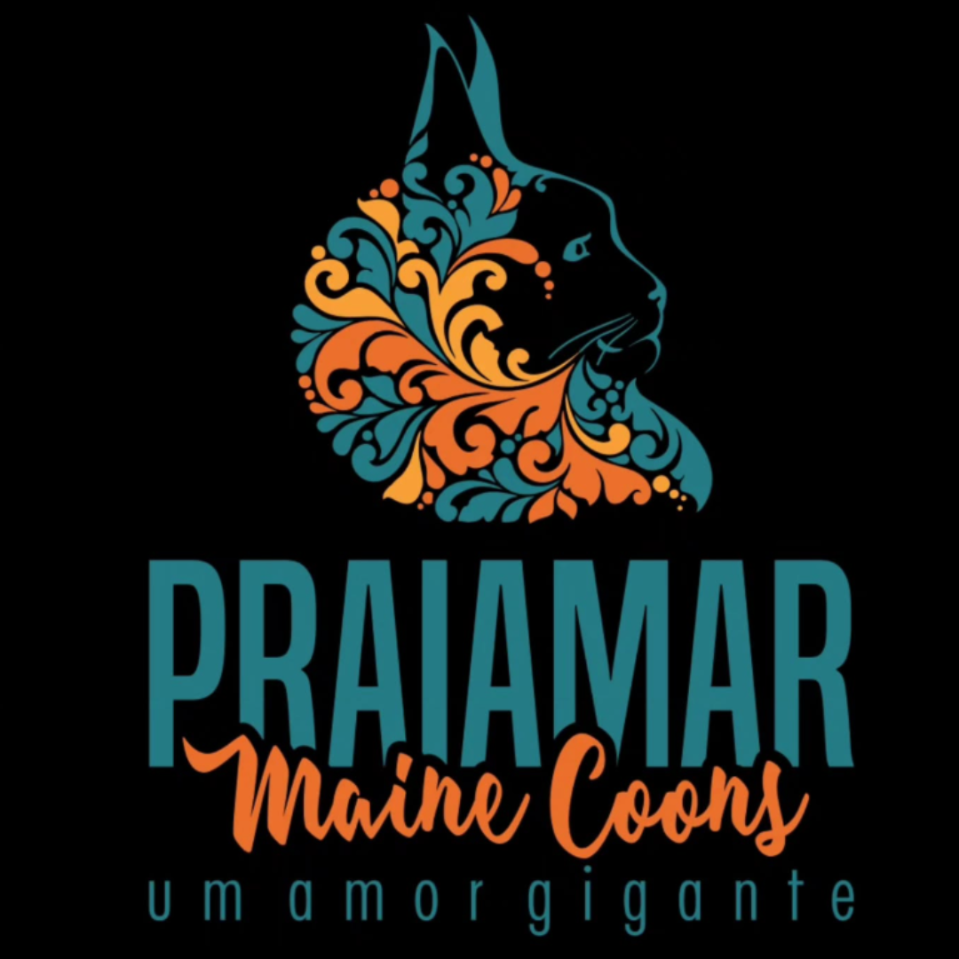 Gatil Praiamar Maine Coons