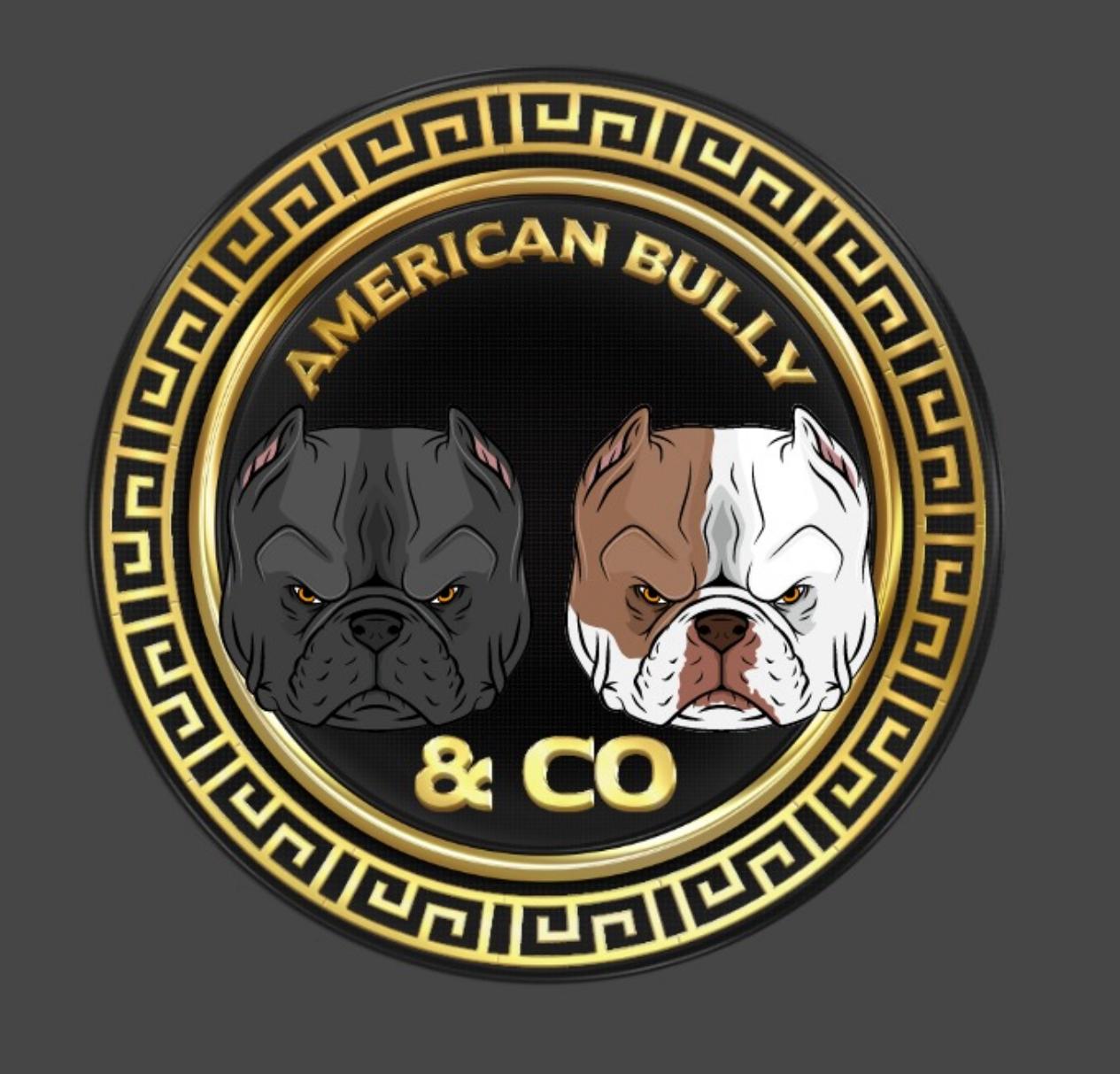 American Bully & Cia ( ( Bully & Cia) 