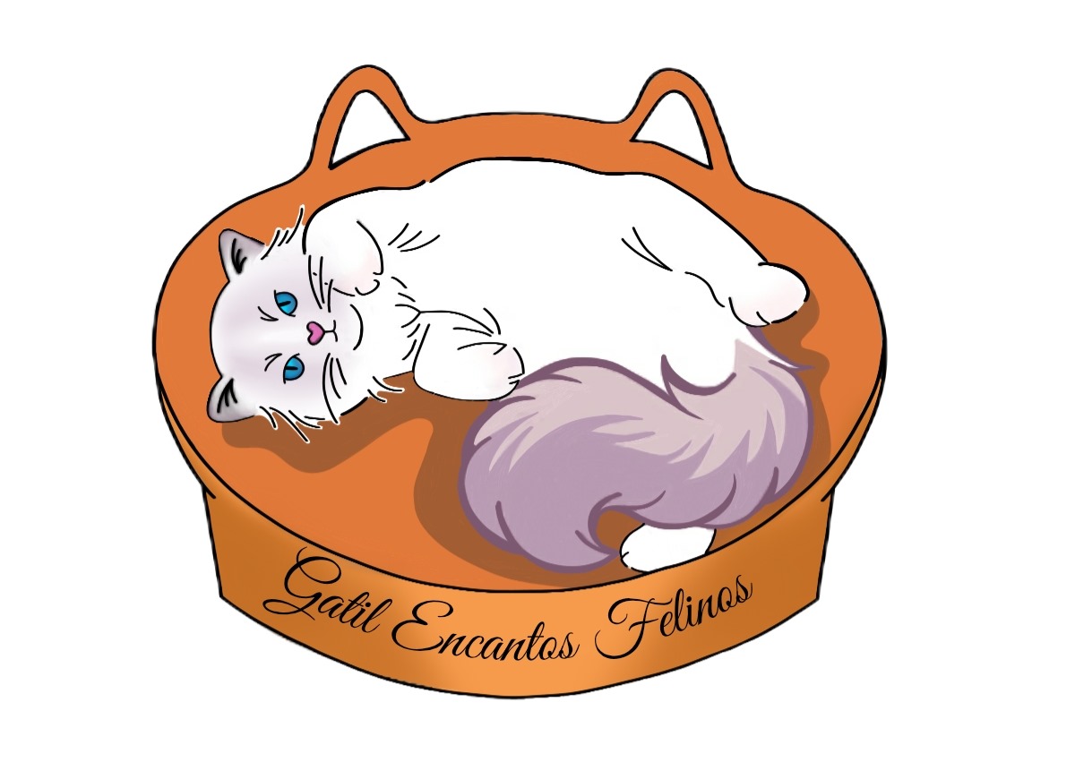 Gatil Encantos Felinos Gatil Encantos Felinos
