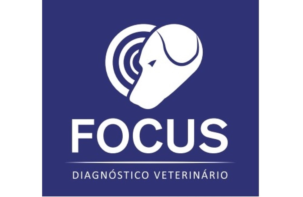 Focus Franquias de Imagens 