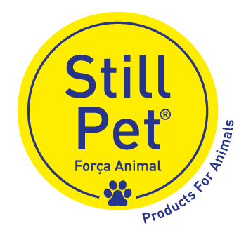 Still Pet Still Pet