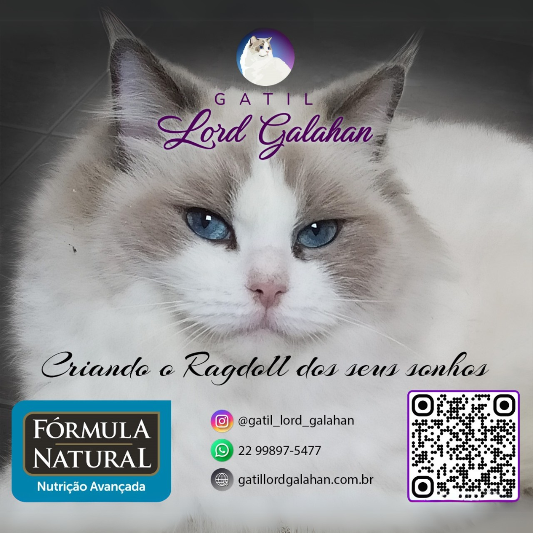 Gatil Lord Galahan