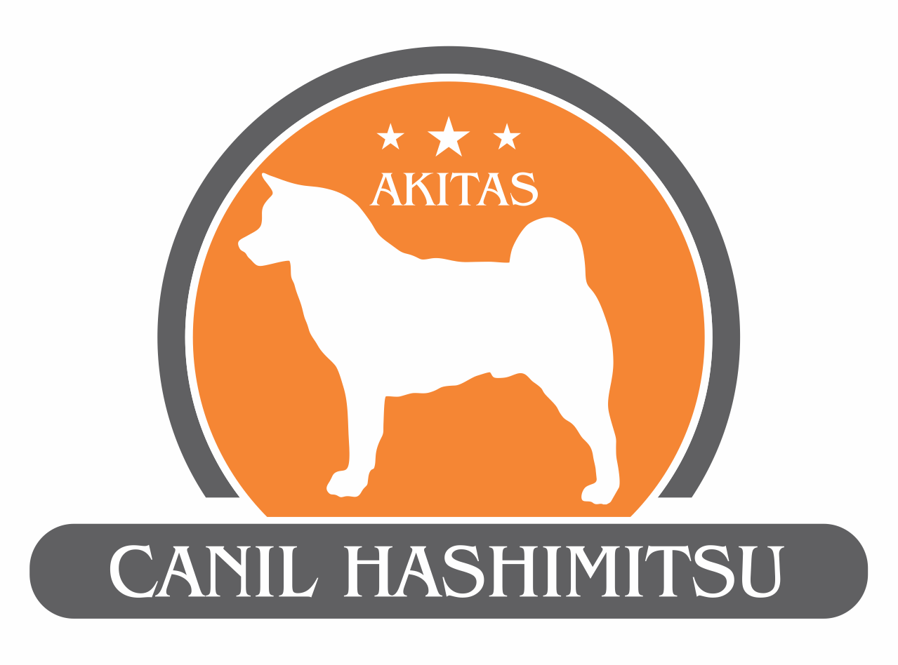 Canil Hashimitsu