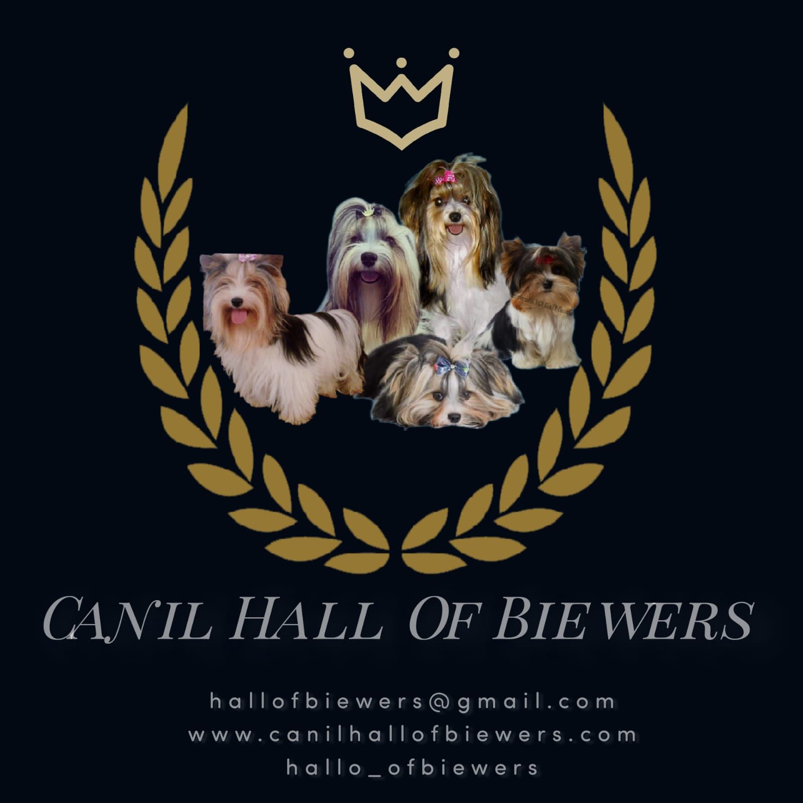 Canil Hall Of Biewers