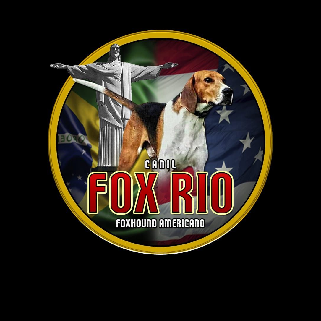 Canil Fox Rio