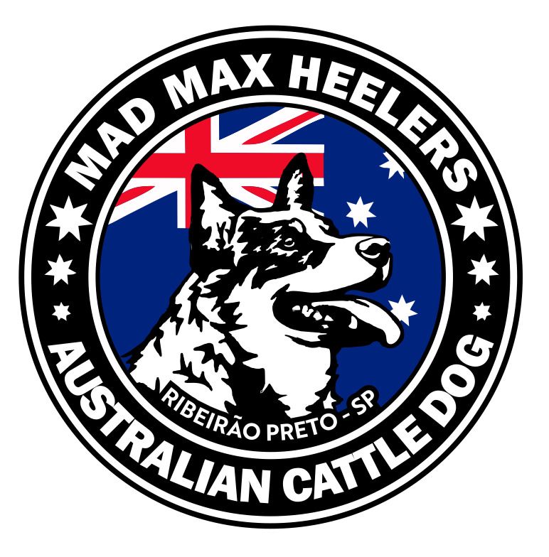 Canil Mad Max Heelers