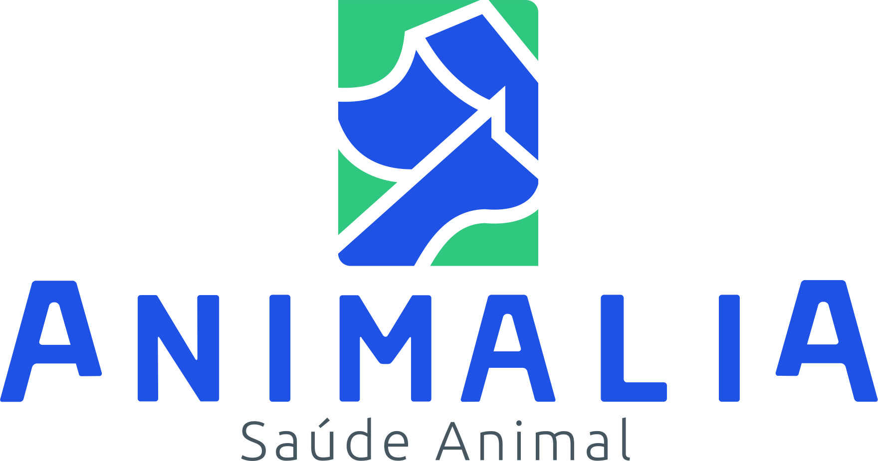 RBL Distribuidora RBL Distribuidora