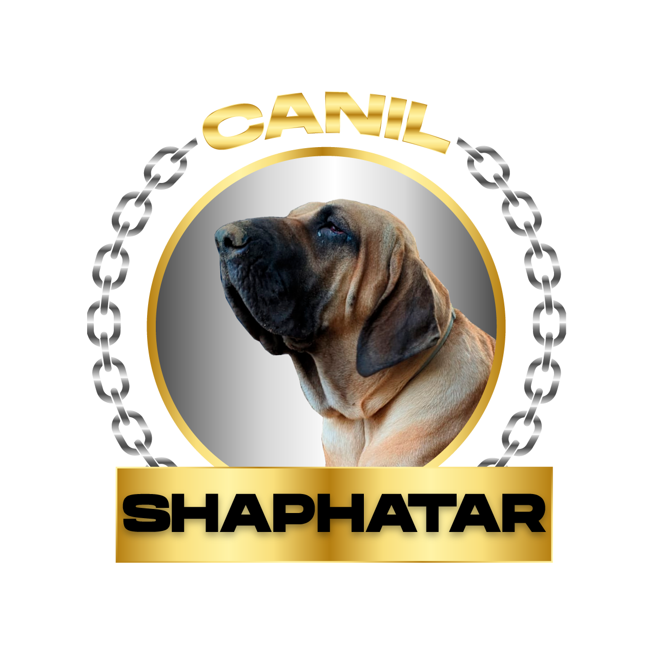 Canil Shaphatar