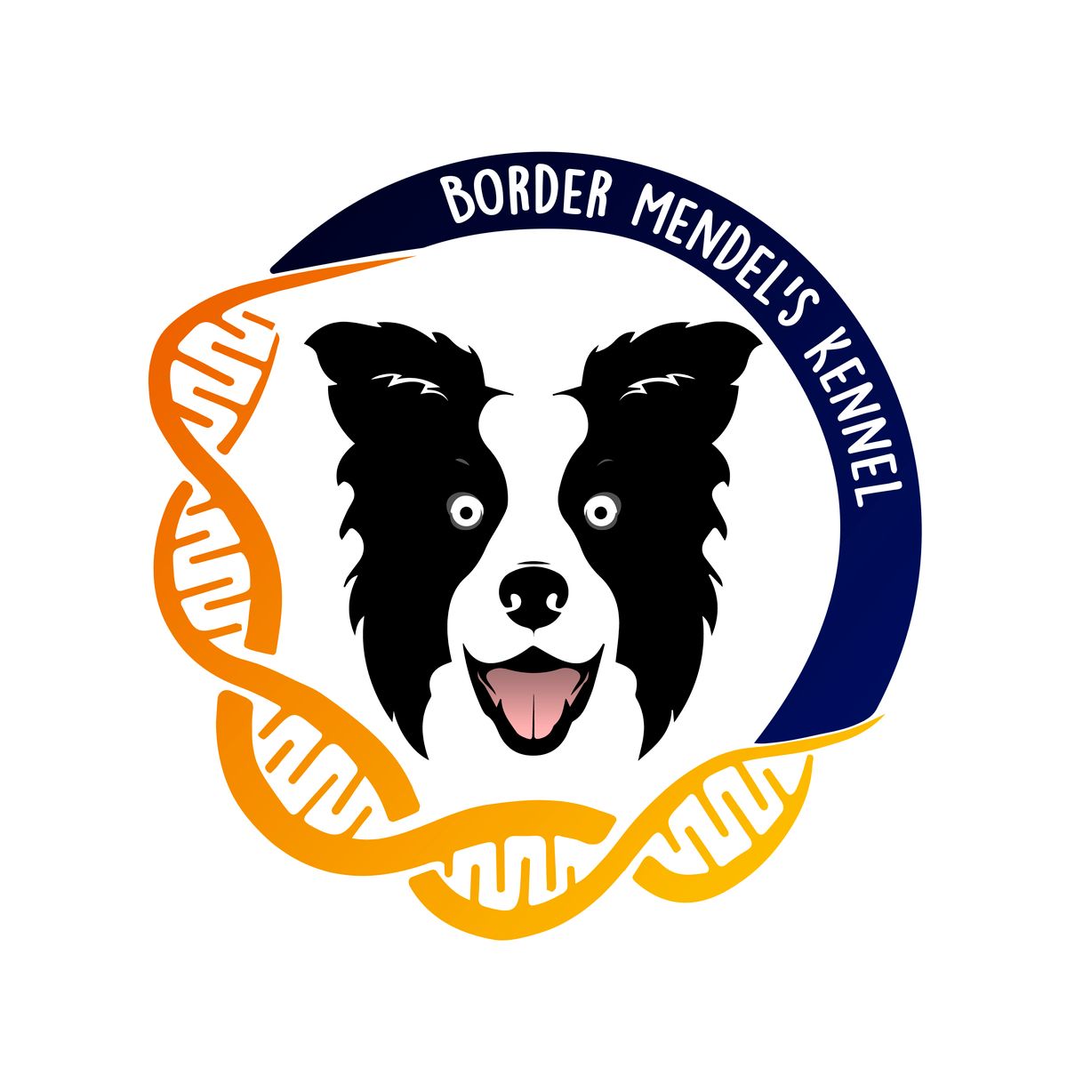 Border Mendel's Kennel